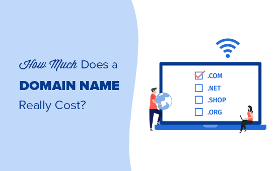 Domain cost guide